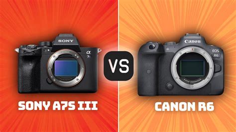 Sony A7s Iii Vs Canon R6 Which Camera Is Better With Ratings And Sample Footage Youtube