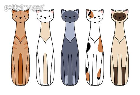 Vector Cartoon Cat Bookmarks Collection Cute Pet Bookmarks Set In Flat