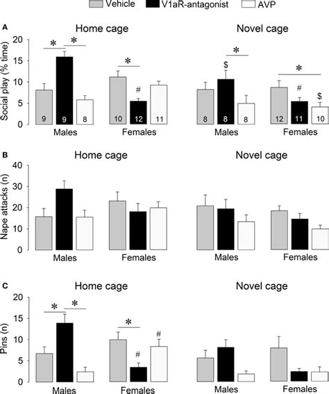 Frontiers Sex Specific Modulation Of Juvenile Social Play Behavior By