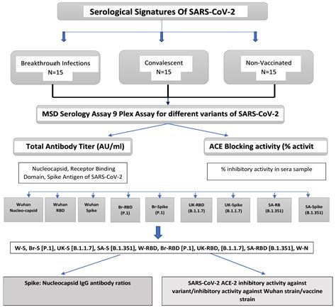 Vaccines Free Full Text Validation And Suitability Assessment Of Multiplex Mesoscale