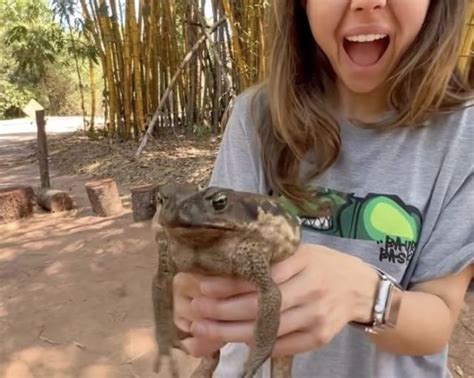 Conhe A O Museu Do Caf De Piratininga Ecomuseu A Km De Bauru