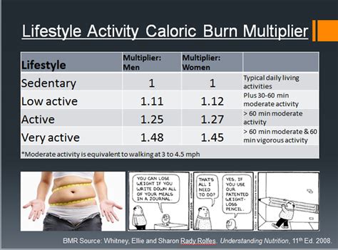 Long Sox Fitness: How Many Calories Do You Burn in a Day?