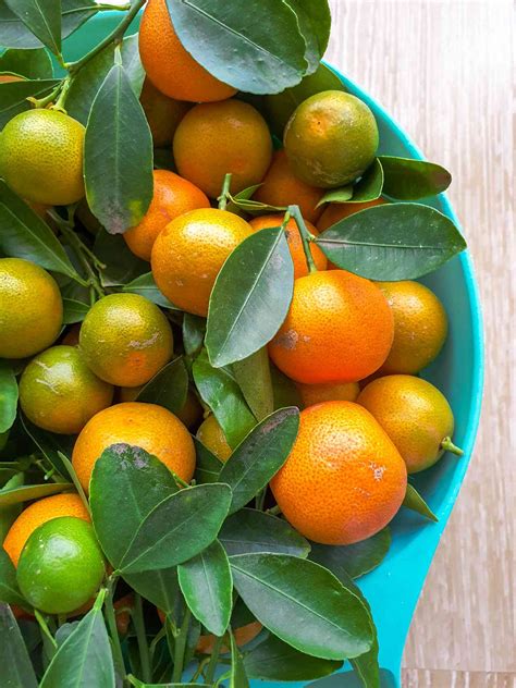 What Is Calamansi