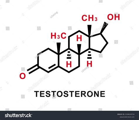 Testosterone Chemical Formula Testosterone Chemical Molecular Stock