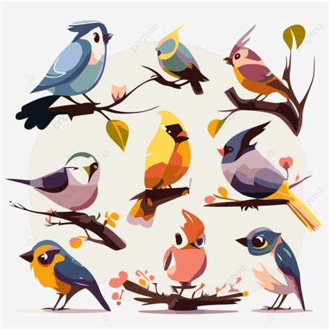 Aves Clipart Varios Hd Pájaros En Ramas Ilustración Dibujos Animados