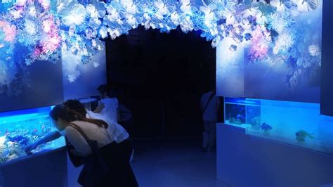 SNOW AQUARIUM BY NAKED 水族館デートの服装 幻想的 アクア