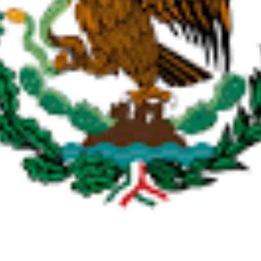 Anal Dormida XHamster