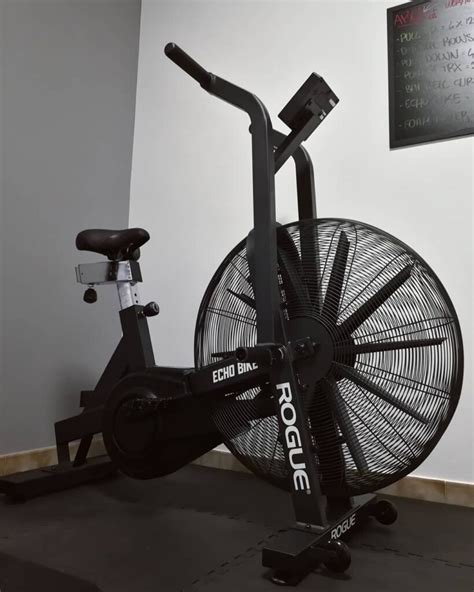 13 Reasons Tonot To Buy Rogue Echo Bike Garage Gym Reviews Garage