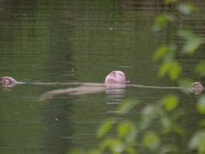 Chloe Levine Nude Aznude