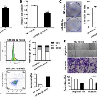 MiR 296 3p Functions As A Tumor Suppressor In CMM Cells A MiR 296 3p