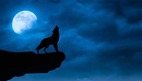 howling wolf  galaxy moon wallpaper wallpaperscom