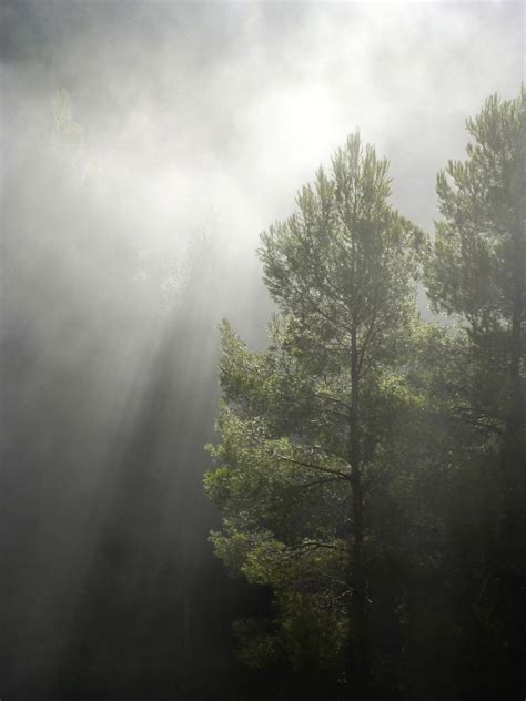 serene synonyms  related words    word  serene