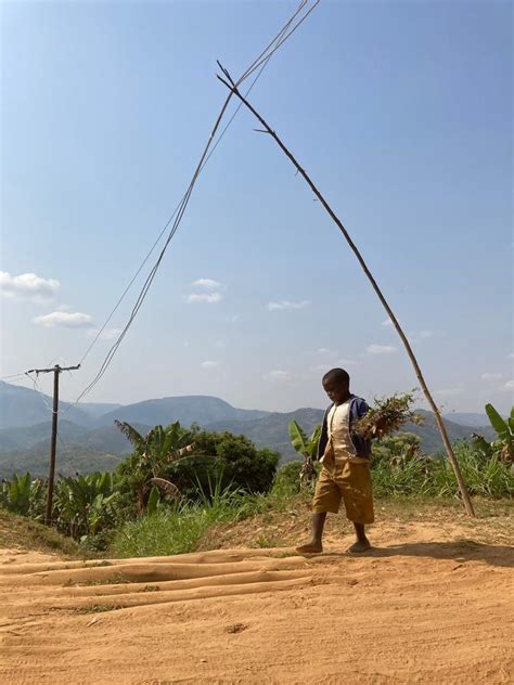 Berkeley Scholar Delivers Scathing Critique of Rural Communities - Hunter Games Magazine