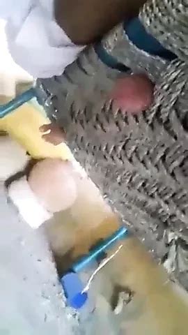 Tyler Lee Hogtie Gay Porn Xhamster