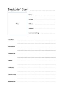 Steckbrief Erstellen Gratis Vorlagen Word Pdf