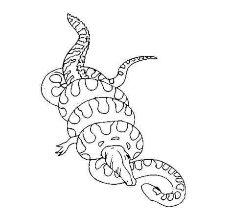 Anaconda Vs Buaya
