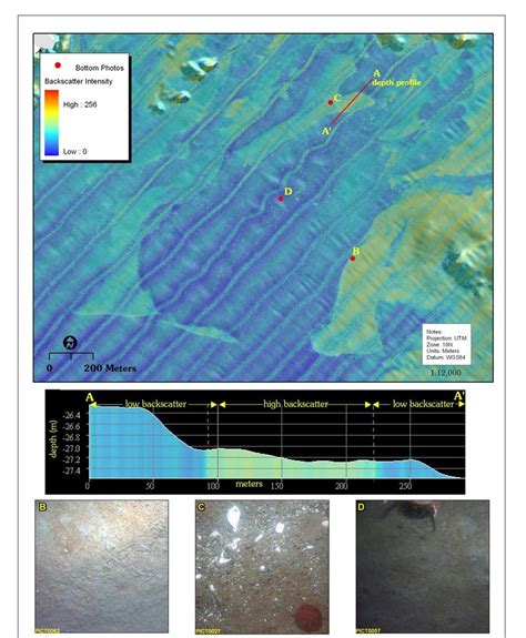 8. Map of seafloor topography colored by backscatter intensity in the ...