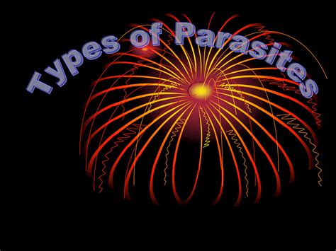 Solution Types Of Parasites Studypool
