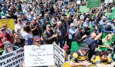 Tree protest heads to Beehive - Country-Wide