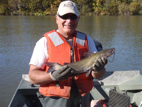 Brown Sfl Gallery Brown State Fishing Lake Northeast Region