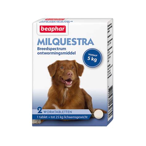 Beaphar Milquestra Entwurmungsmittel für Hund Medpets at Medpets at