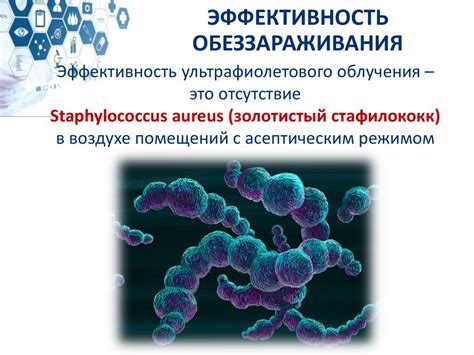 Применение УФ излучения для обеззараживания воздуха. Тема 19 ...