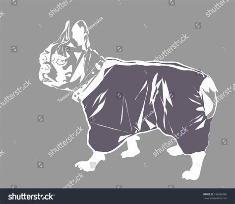 Dog Clothes French Bulldog Symbol Year Stock Vector Royalty Free