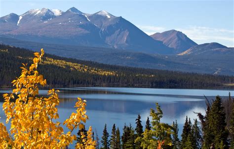 Kluane National Park And Reserve