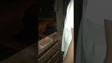 Sloppy Wet Pussy YouTube