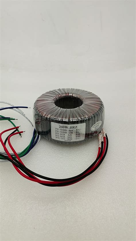 200W Pure Copper Toroidal Transformer Input 115V 2 Output AC0 24V AC0