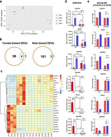 Ablation Of ESR1 Is Associated With Loss Of Sex Bias In Gene