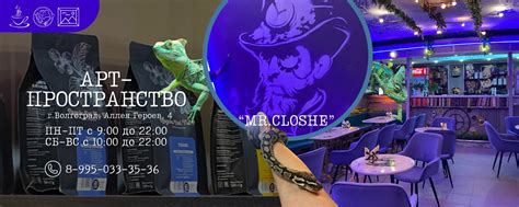 Кафе Mr. Closhe | Волгоград | В самом сердце Волгограда открыто ...