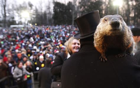 Groundhog Day 2015: Punxsutawney Phil Sees Shadow, Predicts 6 More