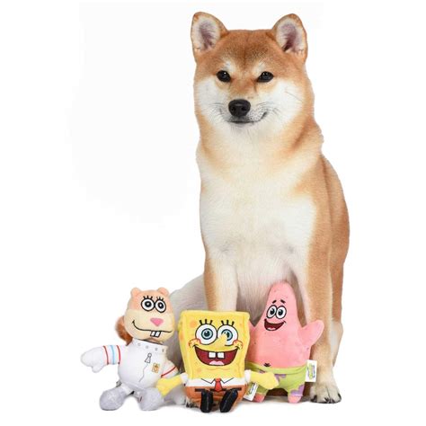 spongebob pets 6