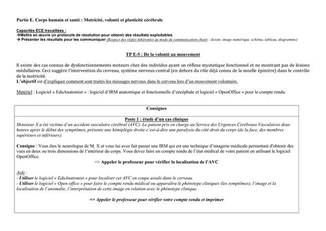 motricité volontaire et plasticité cérébrale tp