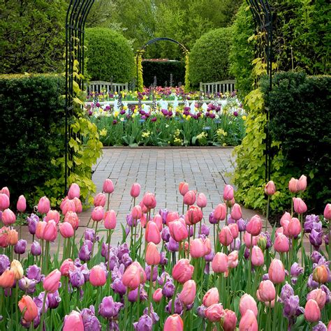 Spring | Chicago Botanic Garden