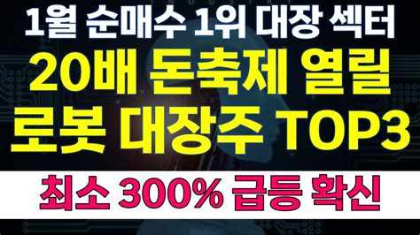 주식 급등주 추천 로봇 대장주 Top3 20배 돈축제 열릴 주식 최소 300 급등 확신 로봇 로봇관련주 주식전망