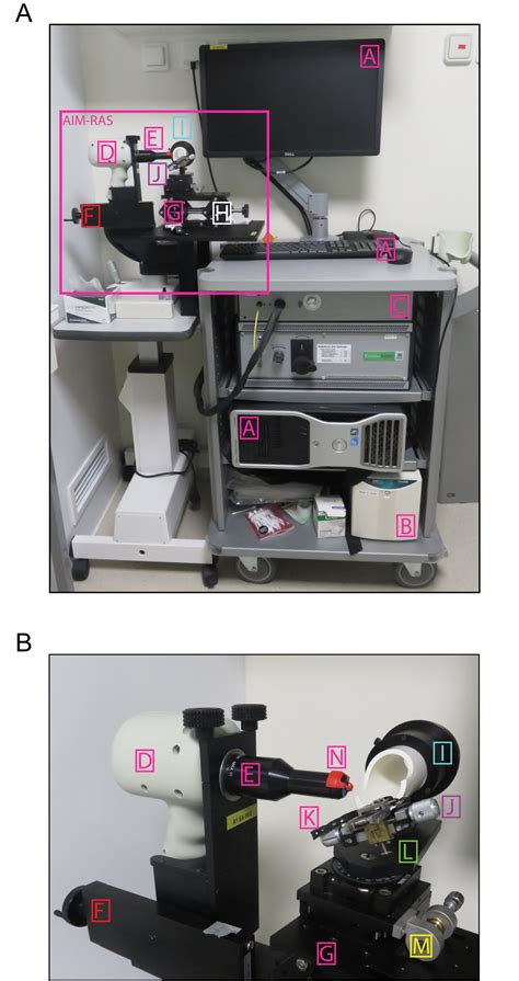 Optical Coherence Tomography Imaging Mouse Retinal Ganglion Cells In