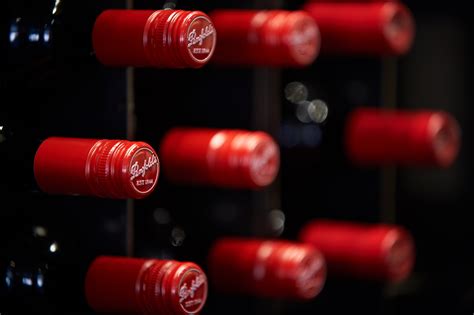 Vino Joy News - Your ultimate source for everything related to China's ...