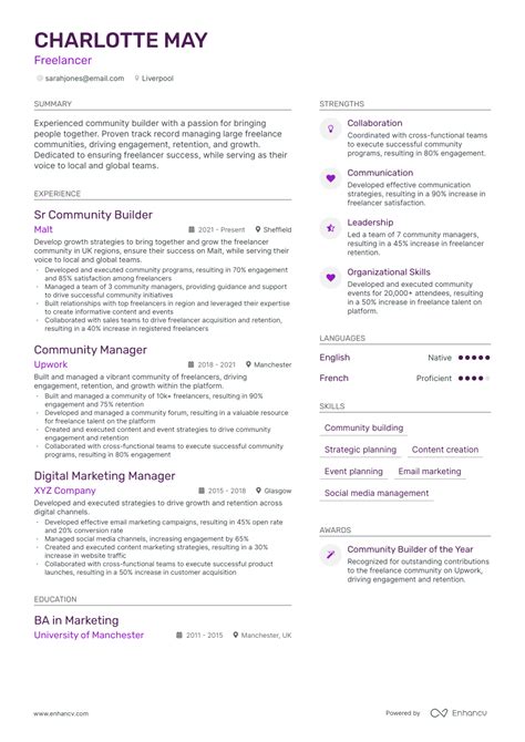 3 Freelancer Cv Examples For 2023