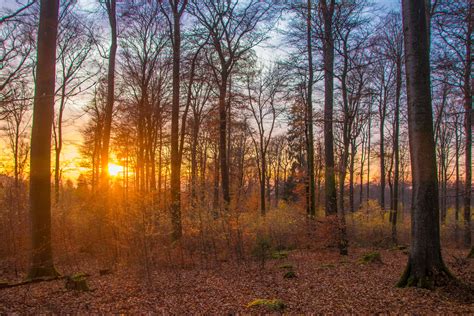Herbstlicht Foto & Bild | deutschland, europe, rheinland-pfalz Bilder ...