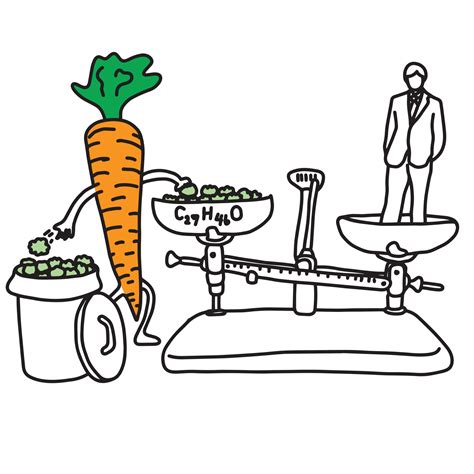 Are Carrots Low In Cholesterol at Lois Toussaint blog