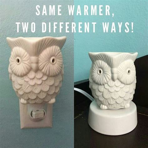 Whoot Mini Warmer Scentsy Scentsy Warmer Scentsy Consultant Ideas