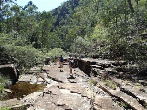 Nude Bushwalk In The Lower Blue Mountains Sydney University Bushwalkers