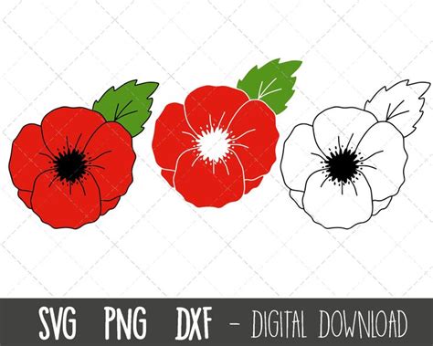 Poppy Svg Poppy Svg Bundle Flower Svg Flower Clipart Spring Clipart