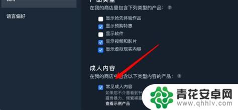 Steam怎么看仅限成人如何调整steam允许显示成人内容的设置 青花安卓网