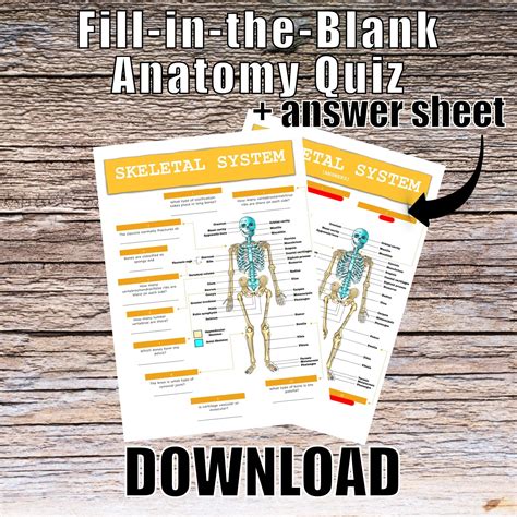 Lab Quiz Skeletal System at Mia Stanfield blog