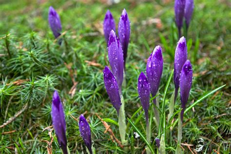 Pádis-fennsík | Flickr