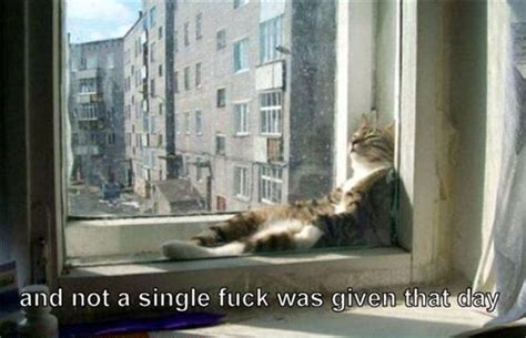 Just For Fun Pic And Not A Single Fuck Was Given That Day