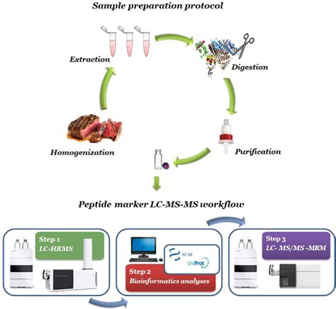 Block Diagram For Sample Preparation And Peptide Marker Liquid